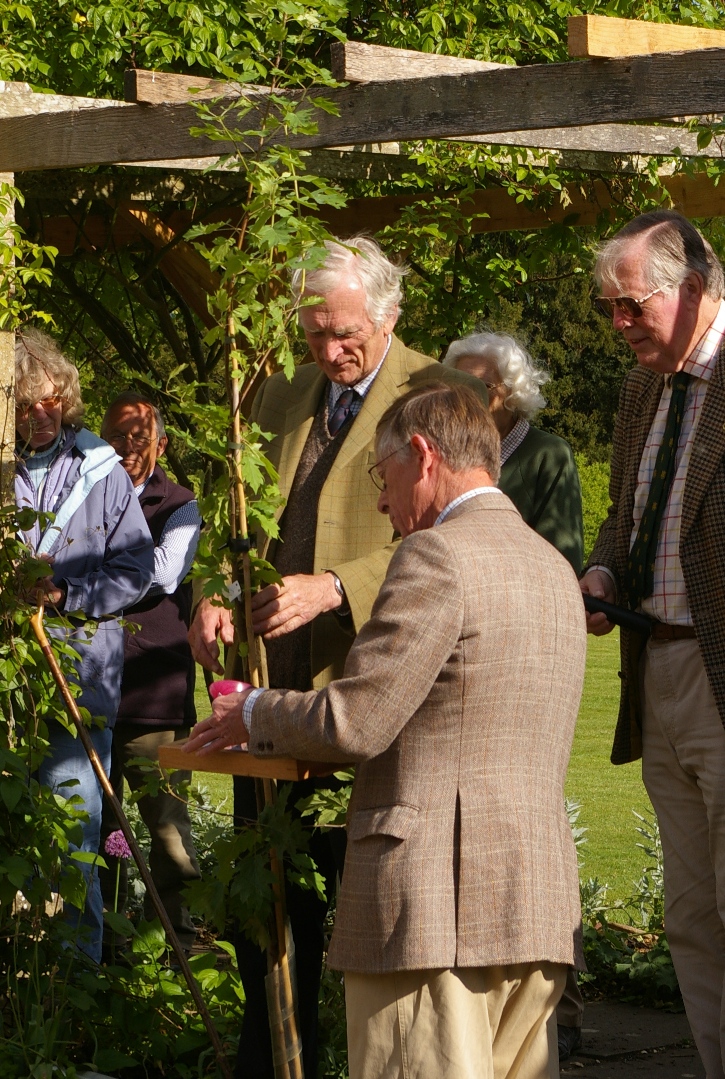 John Grimshaw's Garden Diary Wild Servicetree