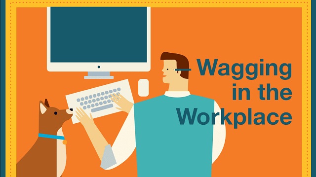 Wagging in the workplace: Benefits of pets at work