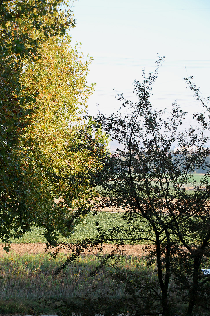 Pbams 2019 34 08 24 By Pader Verlag Gmbh Issuu