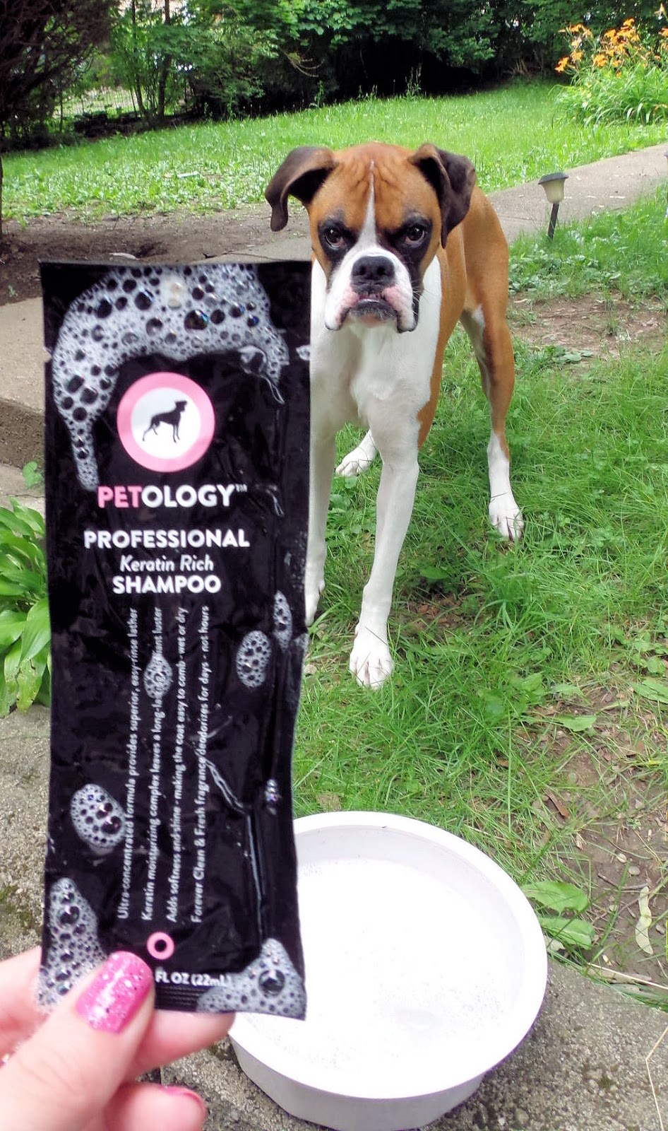 Dog Madness Petology Shampoos Combines Nature And Technology To