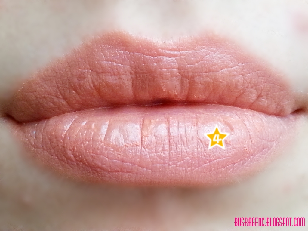 Pastel Pro Fashion 4'lü Ruj Paleti No3