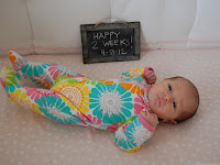 Resep Makanan Bayi 6 Bulan Untuk Kecerdasan Otak