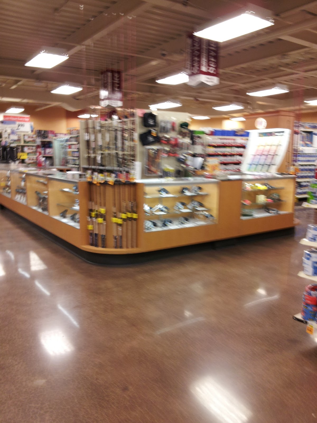 Storewanderer: Fred Meyer Newport OR