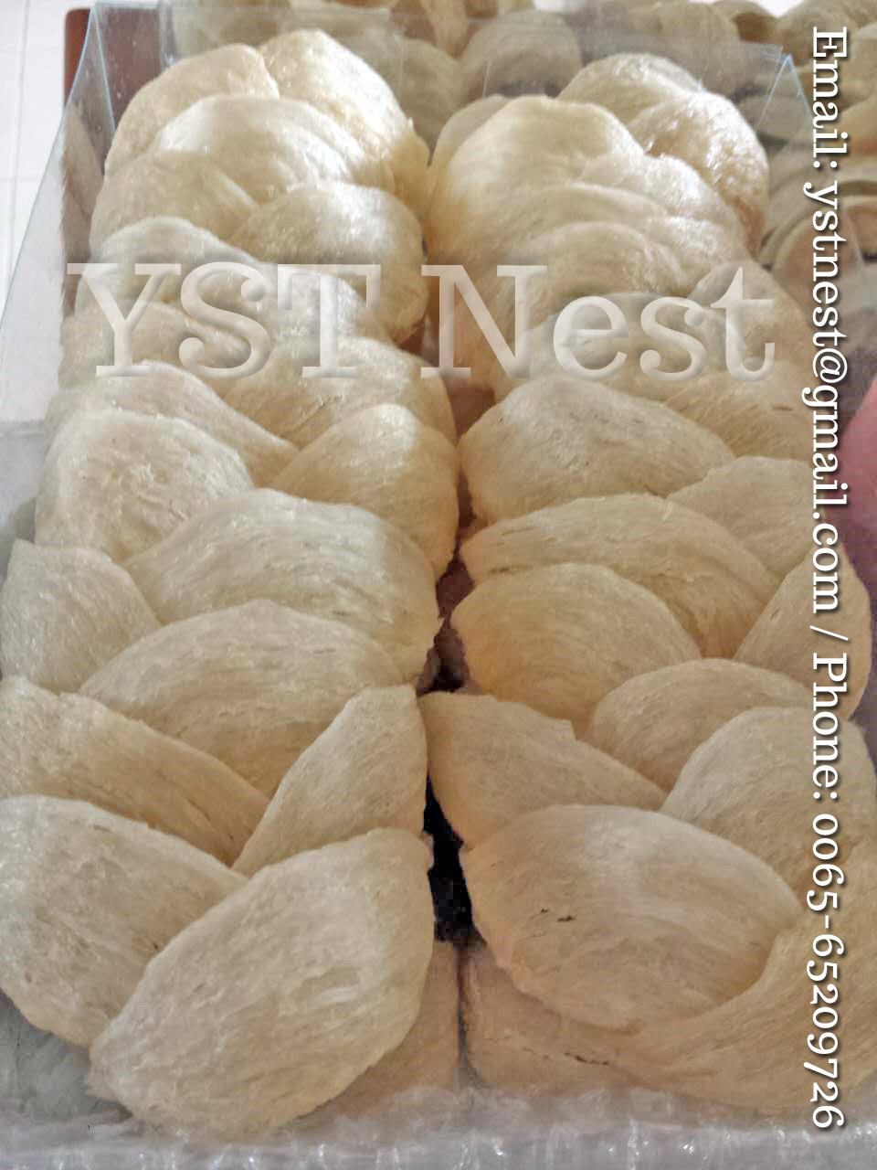 YST Nest 养生堂燕窝行 Edible Bird's Nests (EBN) 燕窝 Singapore Birdnest Wholesale / 新加坡燕窝批发