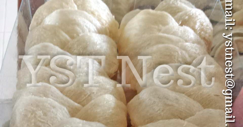 YST Nest 养生堂燕窝行 Edible Bird's Nests (EBN) 燕窝 Singapore Birdnest Wholesale / 新加坡燕窝批发