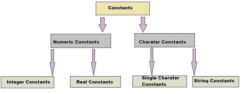 Fast Learn Ed: Data Types in C