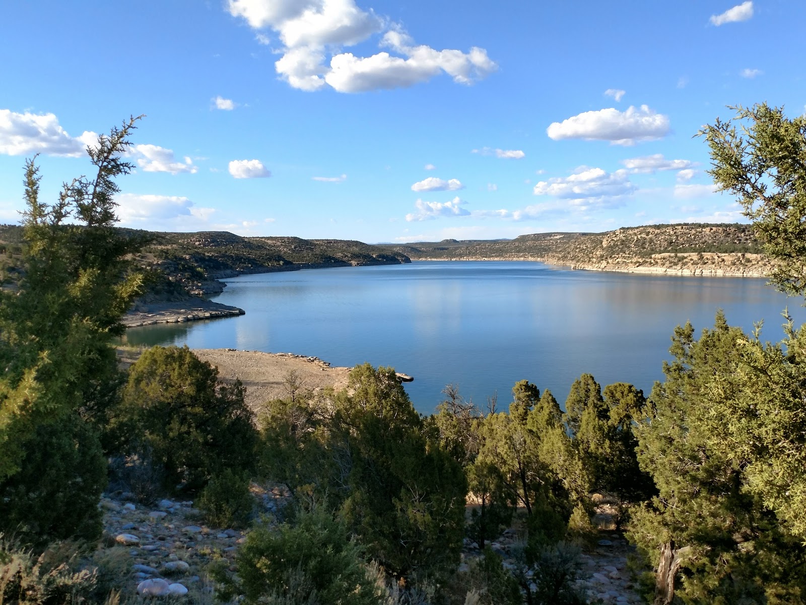 Roving Reports by Doug P 201813 Bloomfield, Aztec and Farmington New