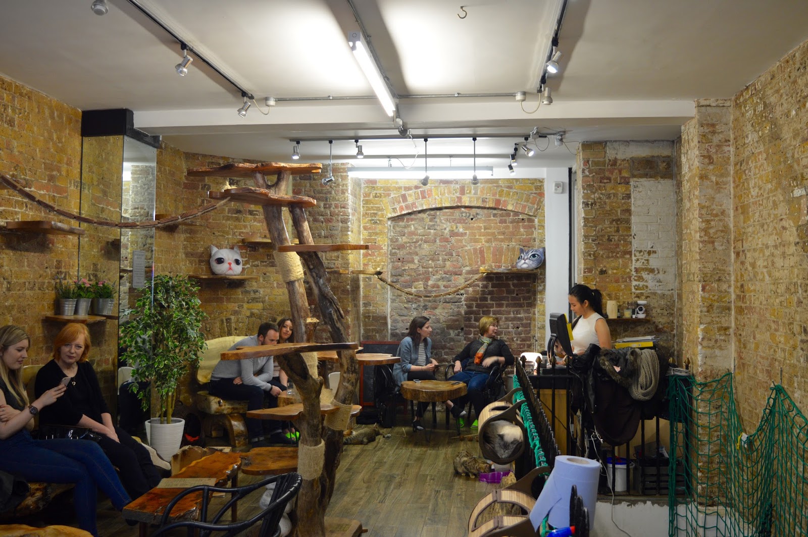 Lifestyle Review London Cat Village, Shoreditch POPCORN AND GLITTER