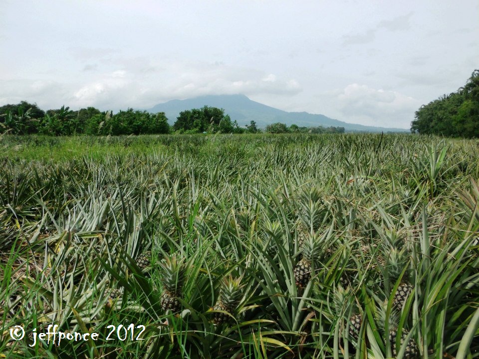 Bisayang Manlalakbay around the Philippines Dole Philippines