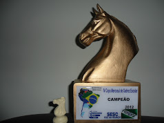Troféu - Copa Mercosul Escolar 2012 Foz