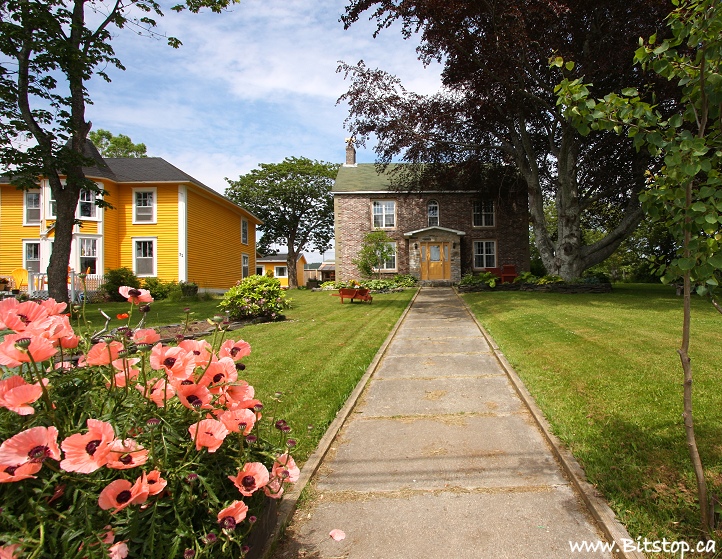 Bitstop Harbour Grace Houses