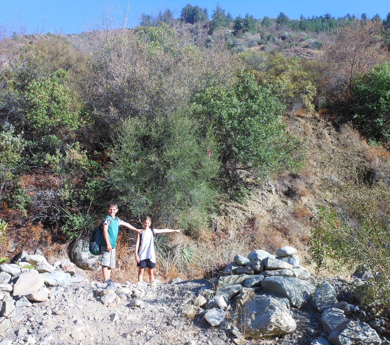 1000 Hikes in 1000 Days Days 648 & 649 Santa Paula Punch Bowls Last