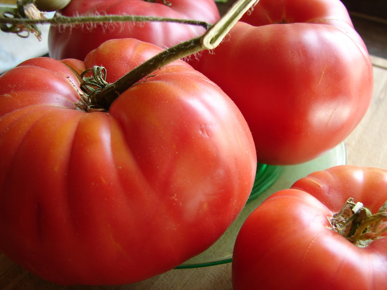 New Utah Gardener Tomato Harvest 2017! Time for pico de gallo!