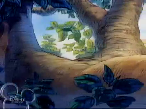 The New Adventures of Winnie The Pooh: Rabbit Marks the Spot