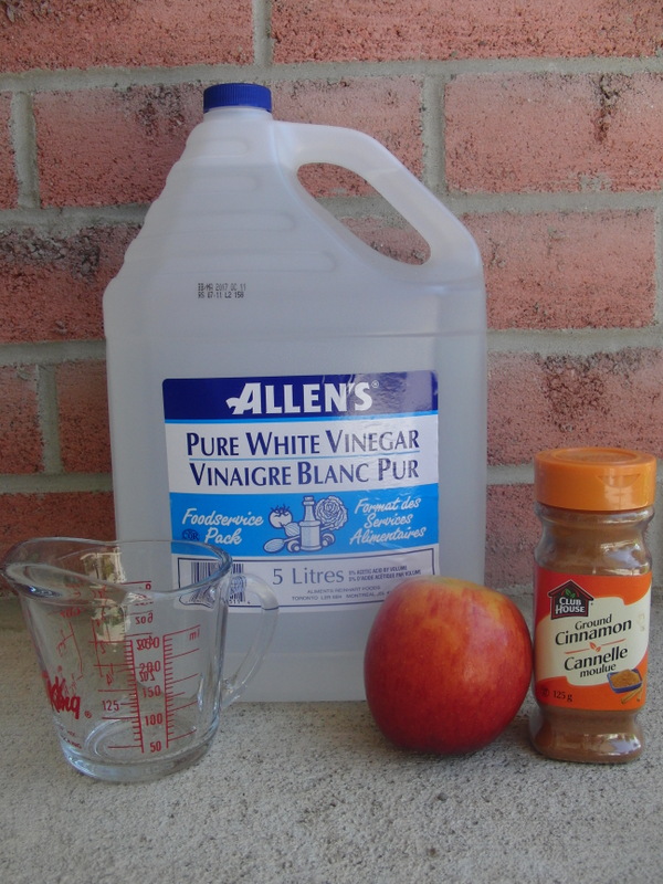 TIPS by ASK Cosmetics Blog Healthy Air Fresheners Make your own non