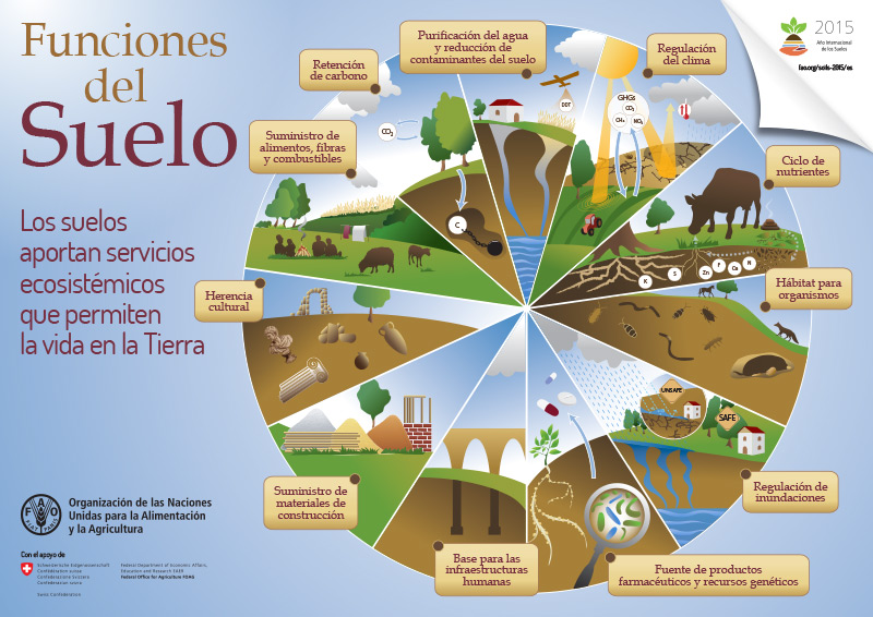 El suelo Mind Map