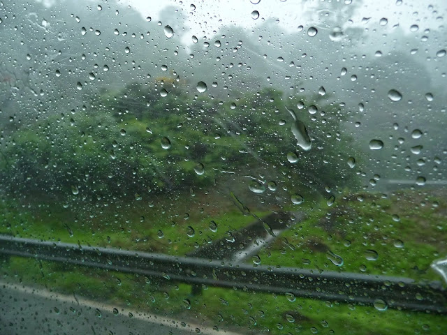 Nature beautiful rain