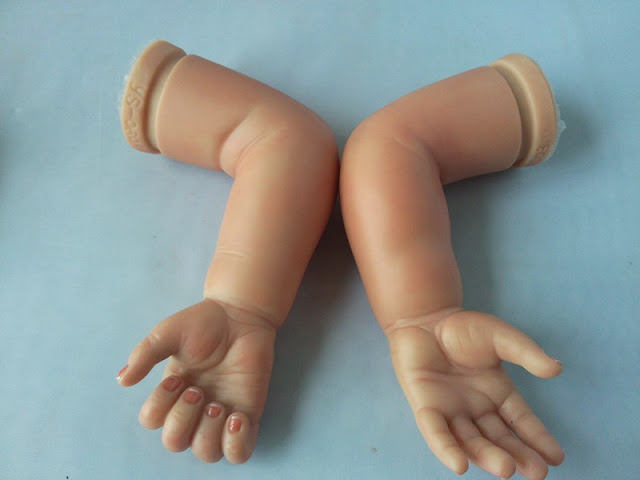 Warga Geger Lihat Anjing Kampung Menggondol Potongan Kepala Bayi!