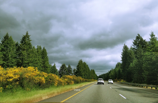 A Weekend at Olympic National Park