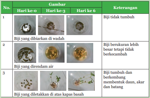 [Kunci Jawaban] Perhatikan gambar pada Tabel 2.6! Coba tentukan faktor