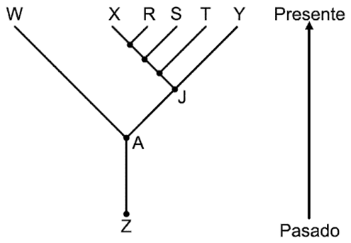 Examen Online Icfes Saber 11 Biologia