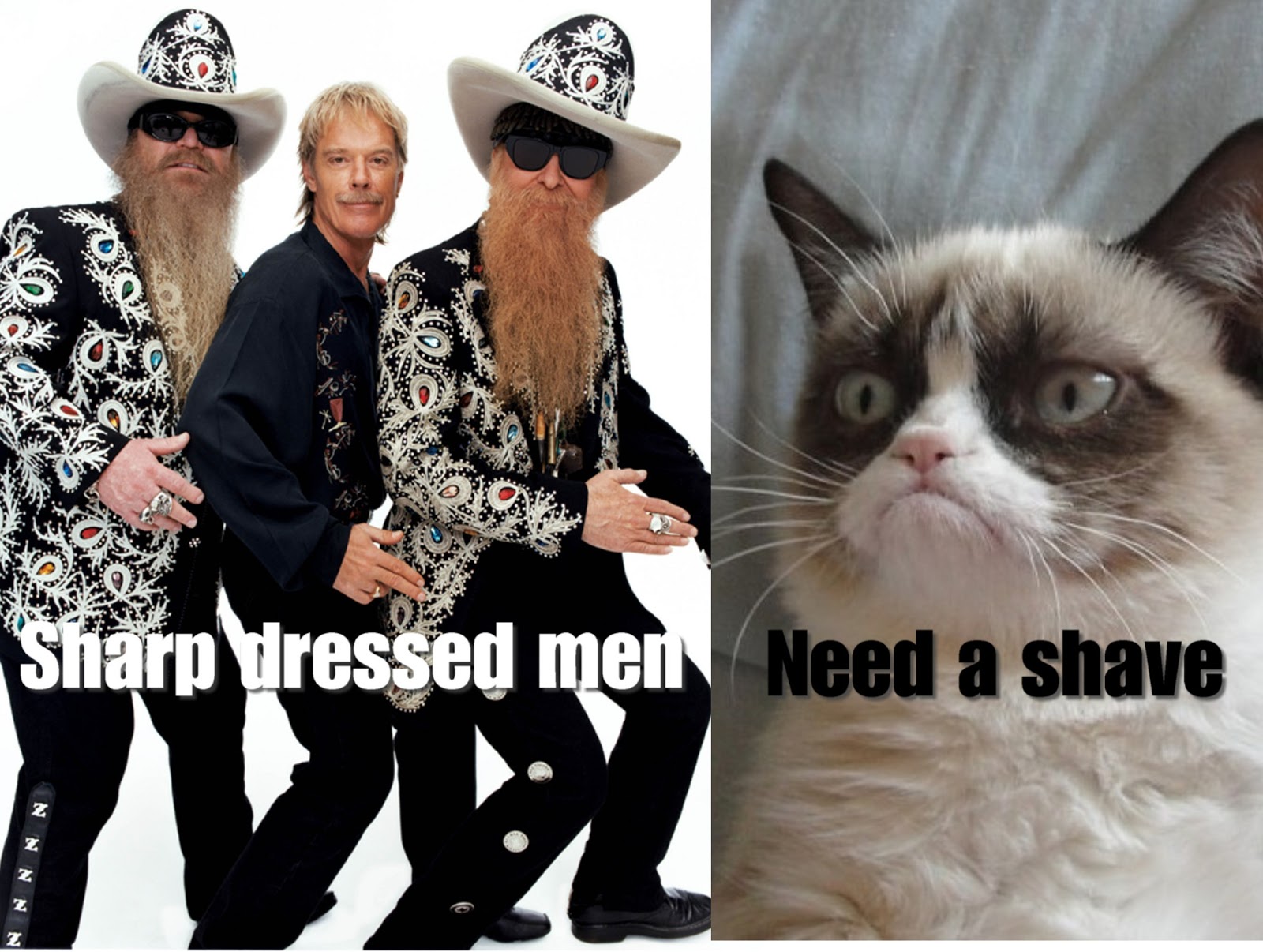 Grumpy Cat - The Rock'n'Roll years: March 2013