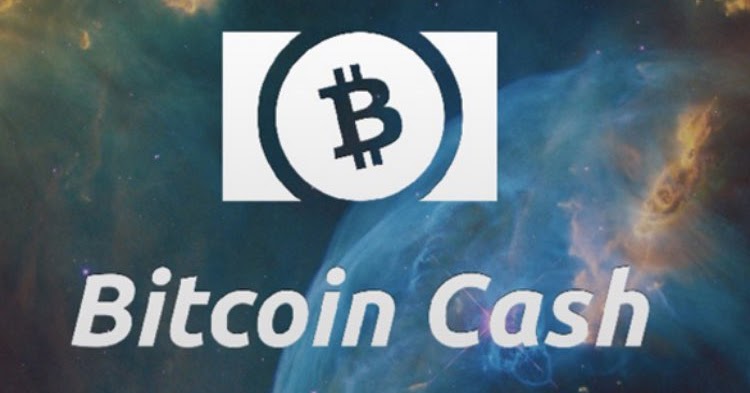 bitcoin-cash.vip review