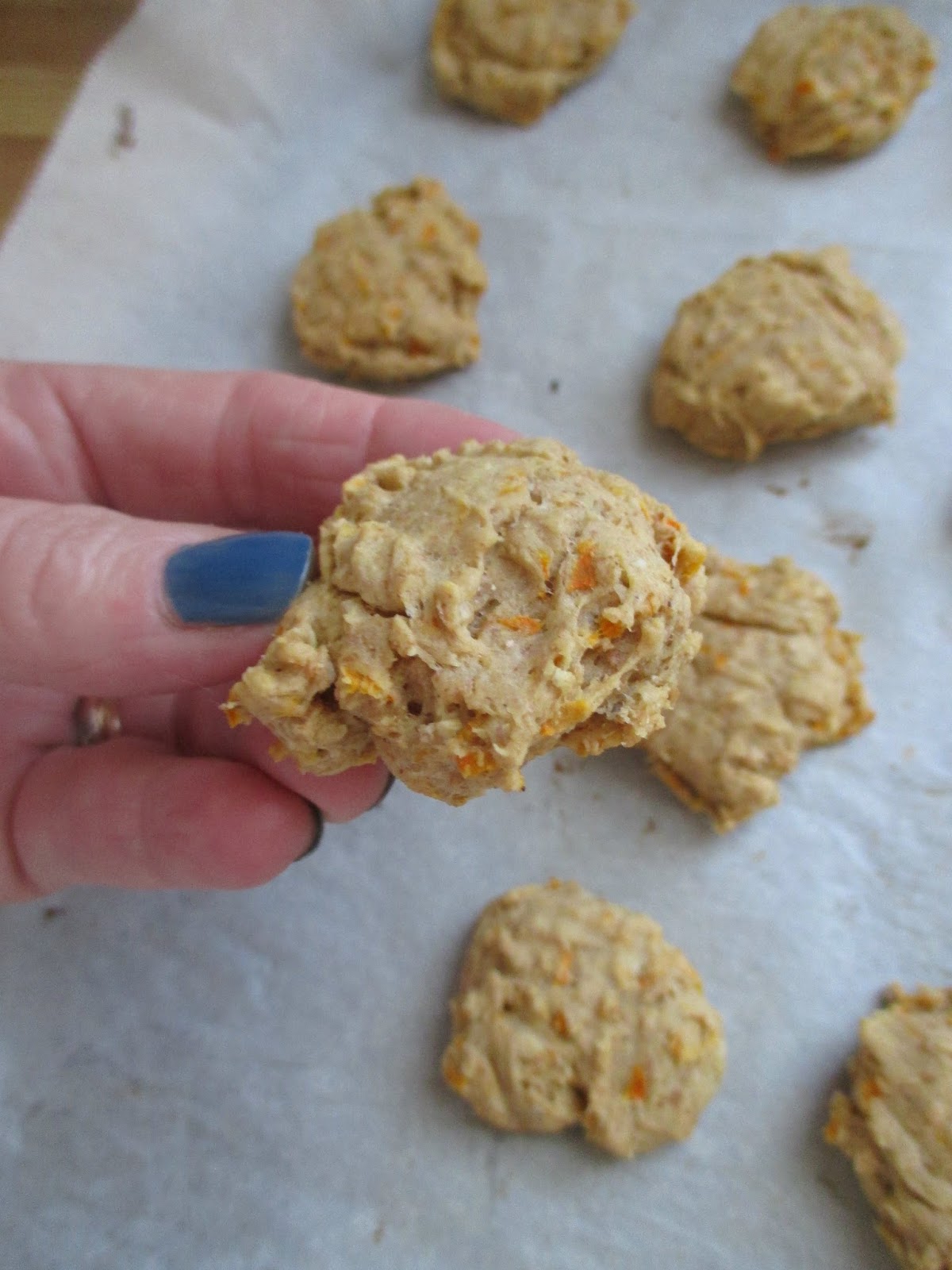 Just my Stuff Carrot and Oat Dog Cookies