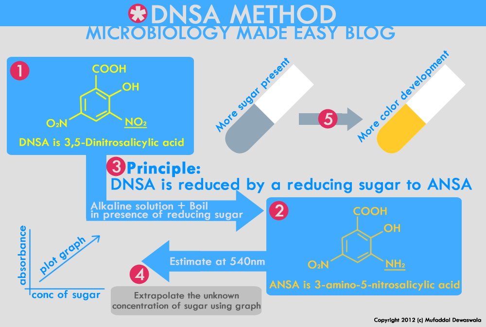 Microbiology Made Easy DNSA Principle