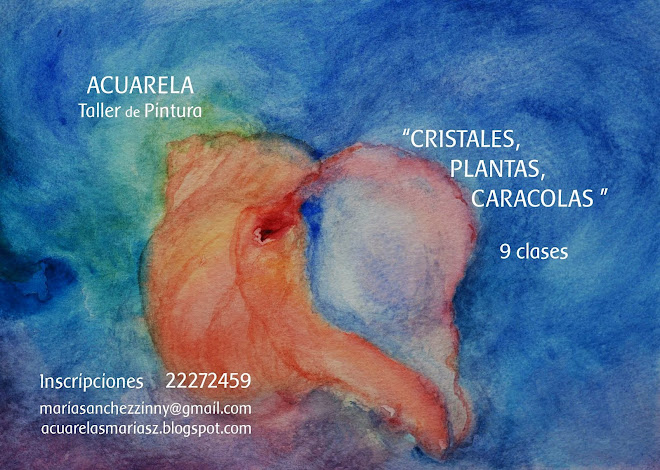 "CRISTALES , PLANTAS , CARACOLAS"