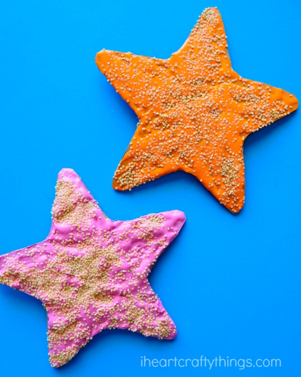 FLAT CRAFT STARFISH 2 1/2" Details about   100 SEASHELL CRAFTS DISPLAY DECOR WOW! 