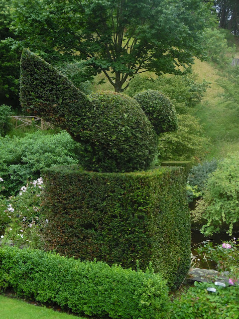 topiary z cisa, ogród angielski