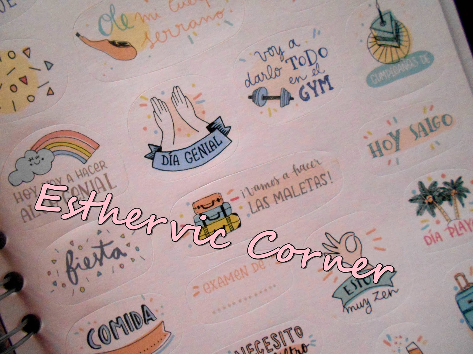 esthervic-review-agenda-mr-wonderful-2015-2016