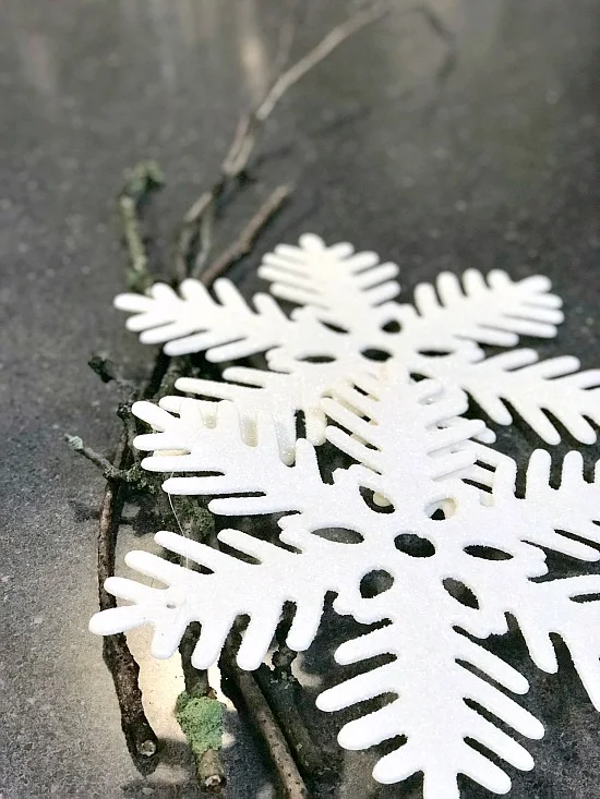 Snowflakes and sticks