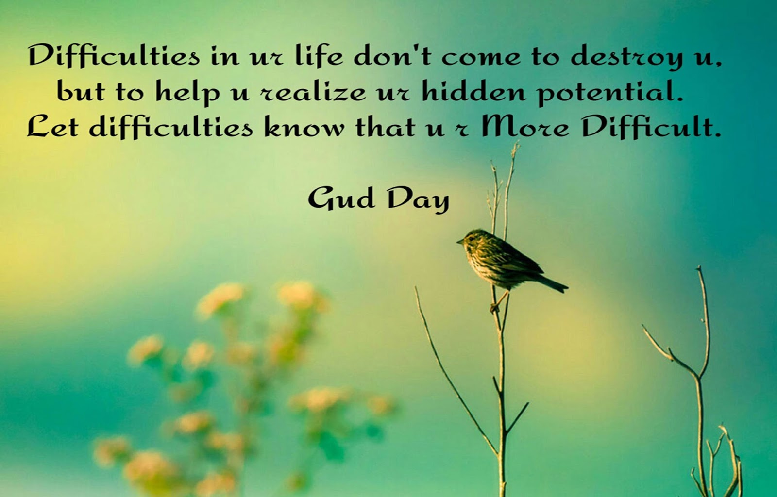download quotes