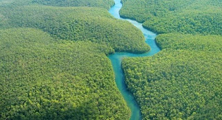 Vista aerea del Amazonas