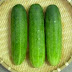 শসা কেন খাবেন ( Cucumber )