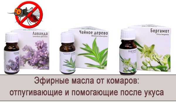 Натуральные эфирные масла от комаров и других насекомых