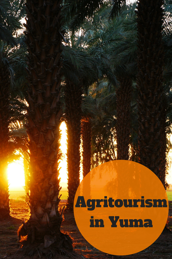 A Date with Yuma’s Agritourism Travel the World
