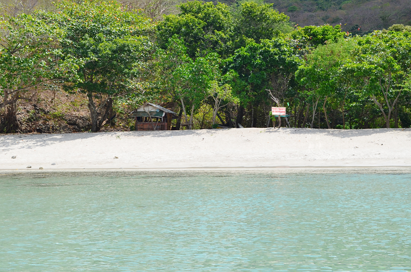 Red Fox Photographs, Diaries, and Thoughts Papaya Island Cove's