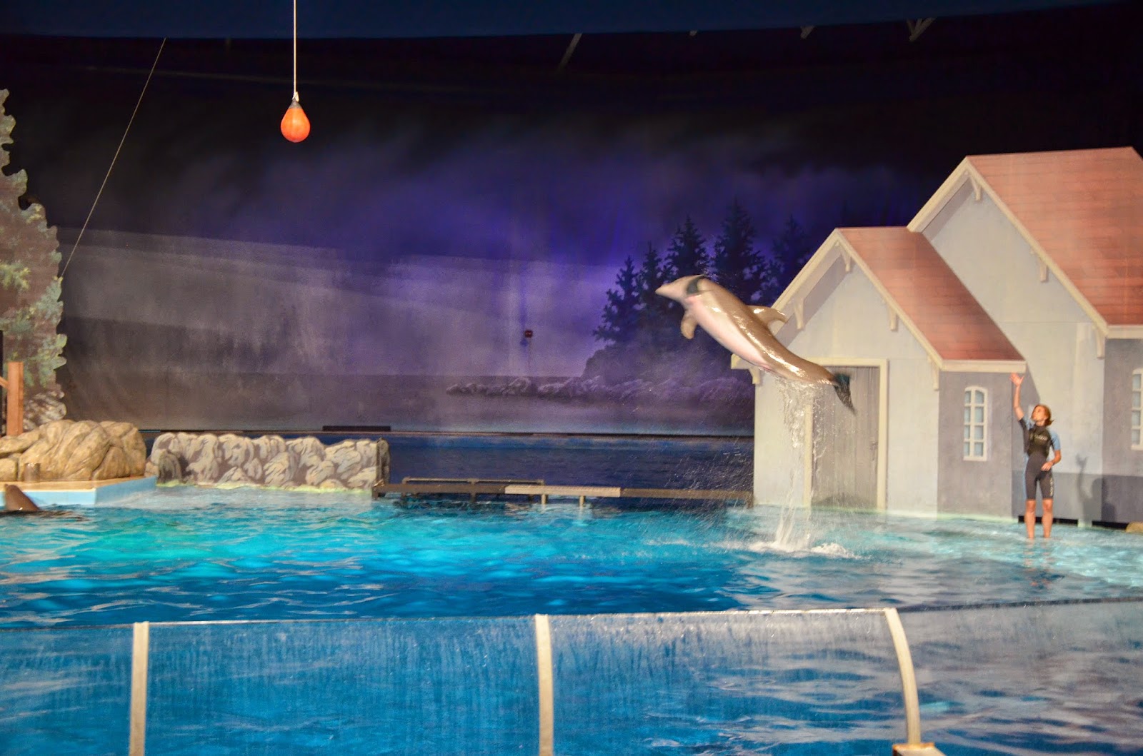 Midwest Family Traveler Dolphin Shows at Indianapolis Zoo