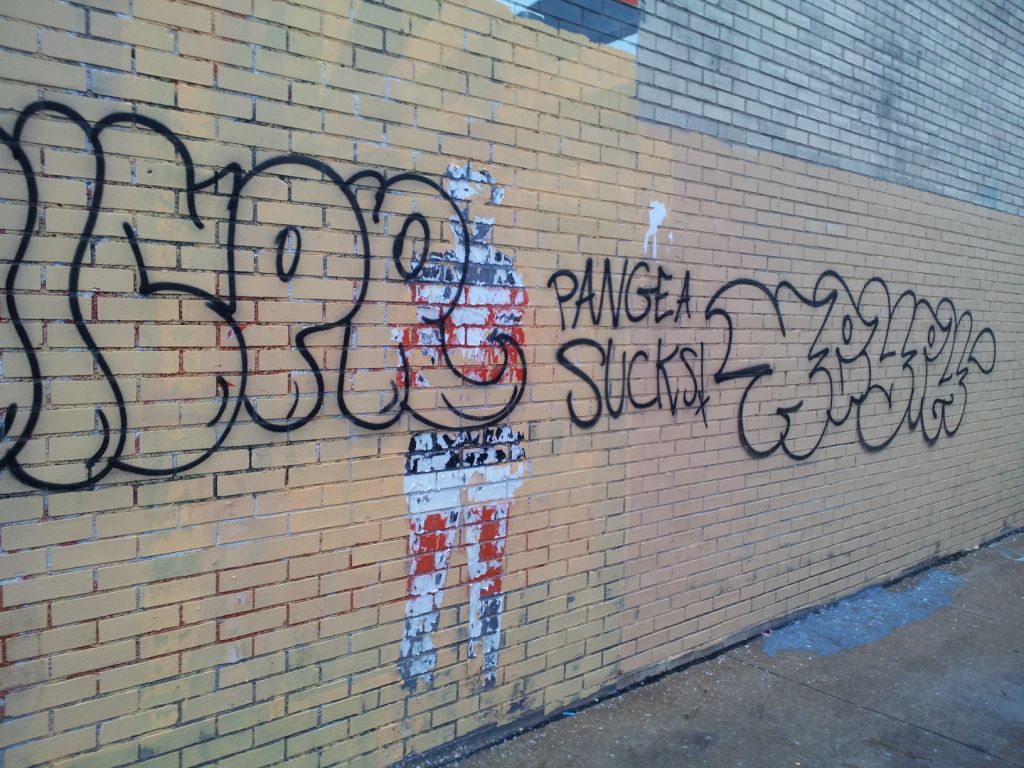 Tpdnews Graffiti Vandal Identified