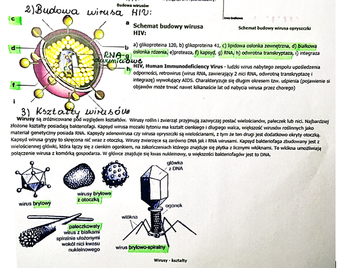 Jednym Z Kryteriów Klasyfikacji Wirusów Jest Typ Organizmu Gospodarza Biologia - nauka o życiu: Wirusy - bezkomórkowe formy materii.