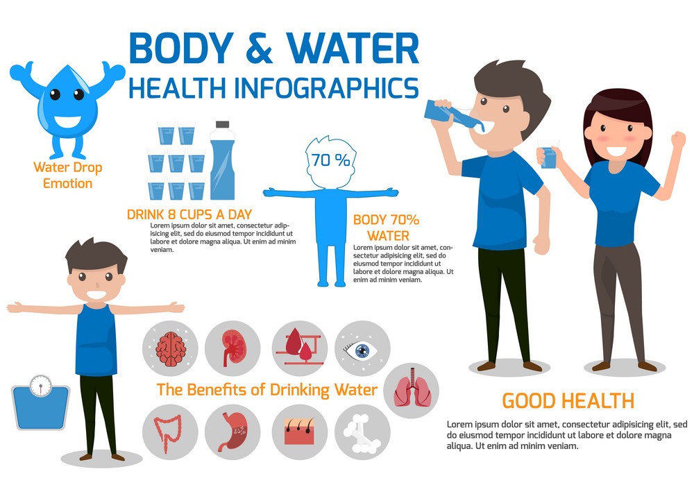Infographic Amount of Water Present in our Body