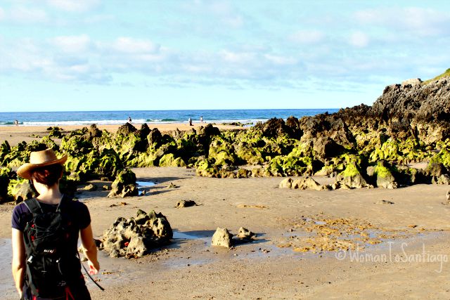 foto camino del norte en noja