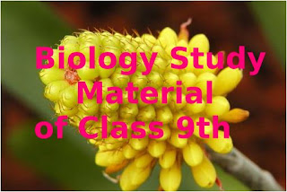 Biology Online Study Material on 9th class