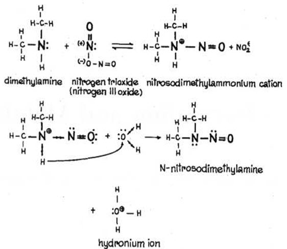 FORMATION OF NITROSO AMINES FROM SECONDARY AMINES