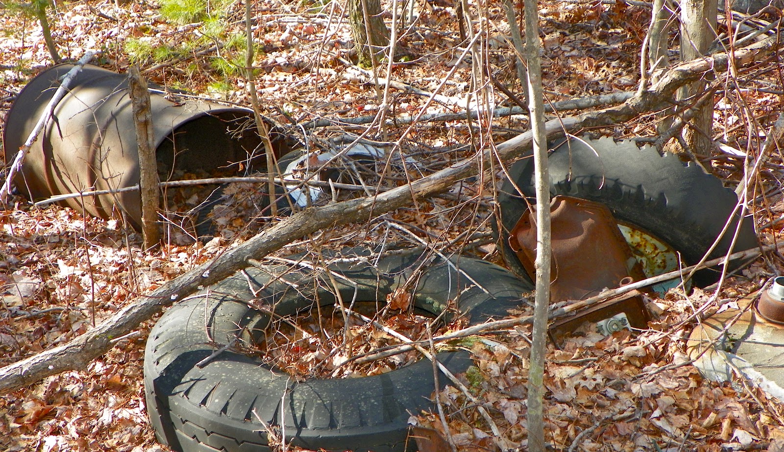 Only in The Republic of Amherst Polluted Library vote
