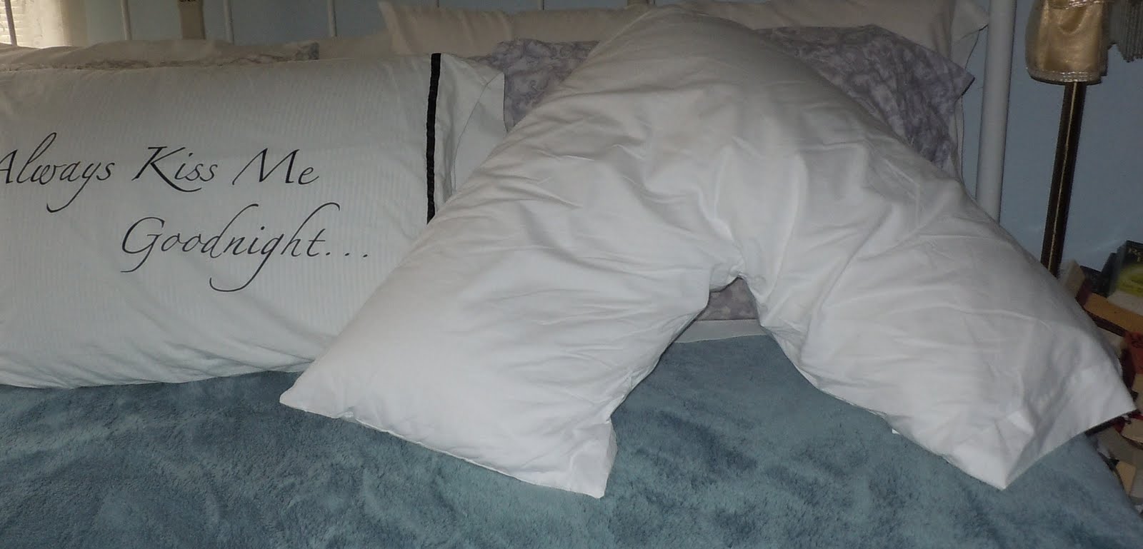 Connee's Days A Boomerang Pillow