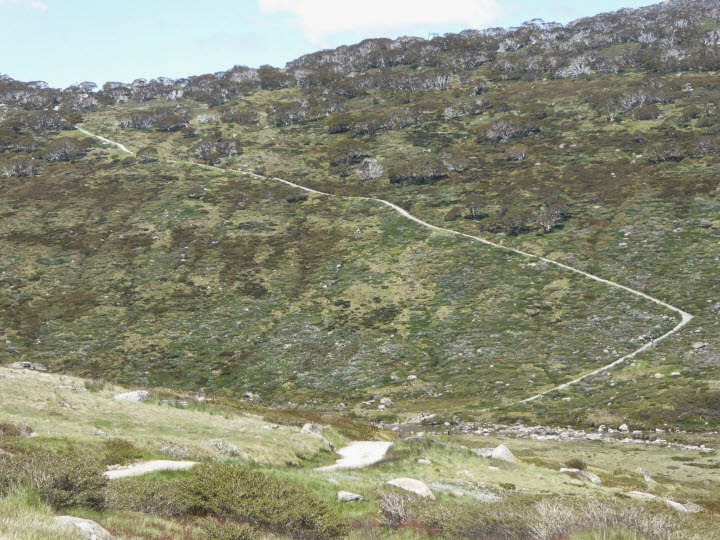 Urs' Gap Year Blog: Mt Twynam, only third highest, but the best views